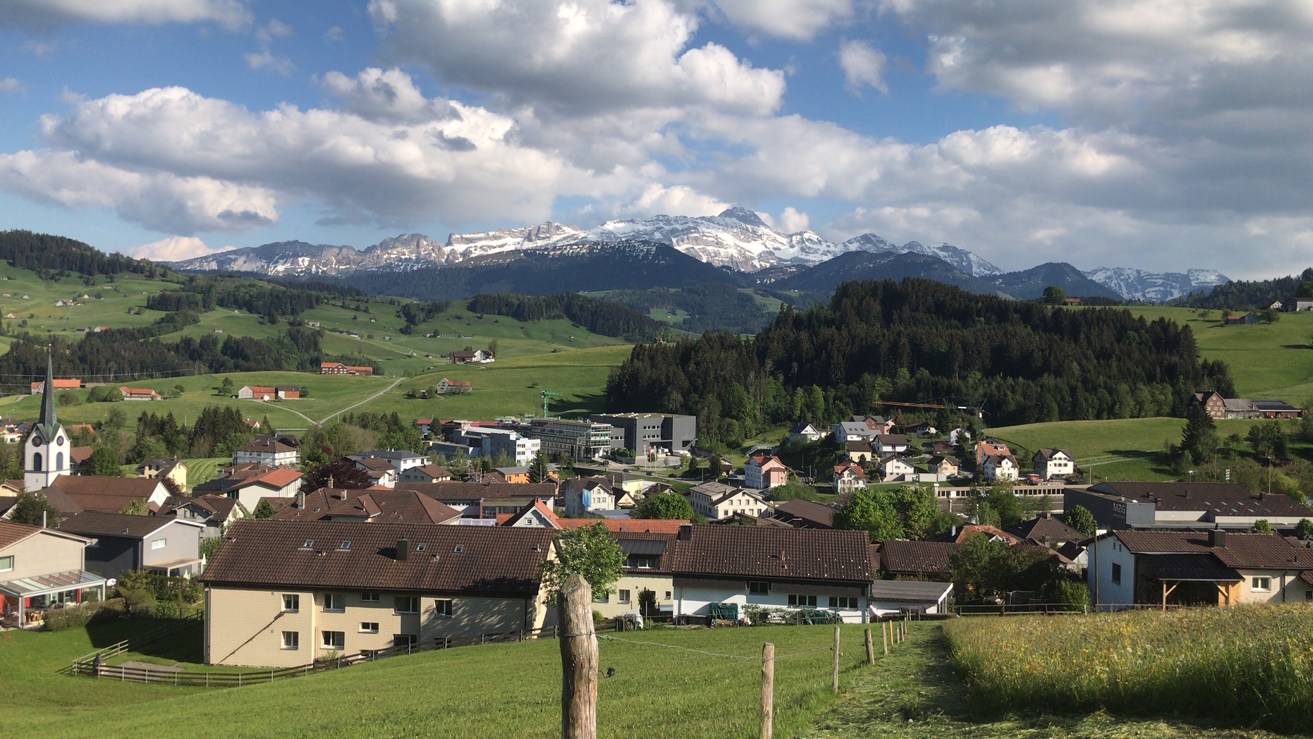 Frühling